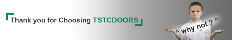 TDOOR-SUPPORT-20250119