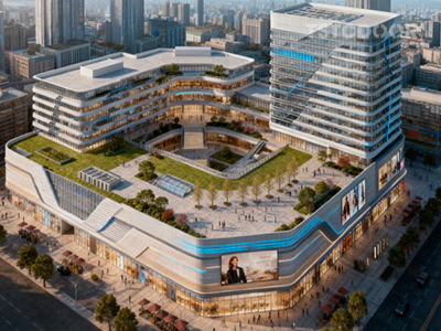 Shopping Mall Project In East Asia -TSWD100 -Floor Spring Door